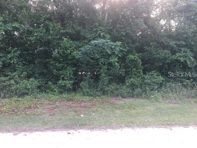 170 NE 169TH AVENUE, SILVER SPRINGS, FL — photo 2 of 2