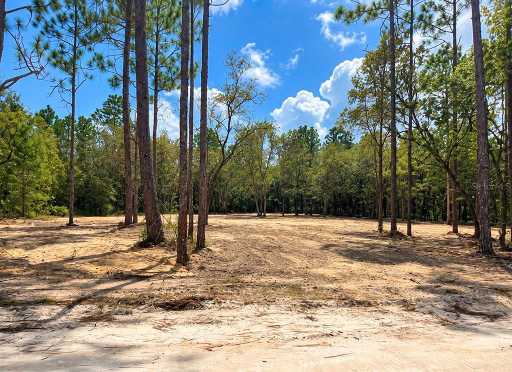 TBD NE 88TH LANE, BRONSON, FL — photo 2 of 4
