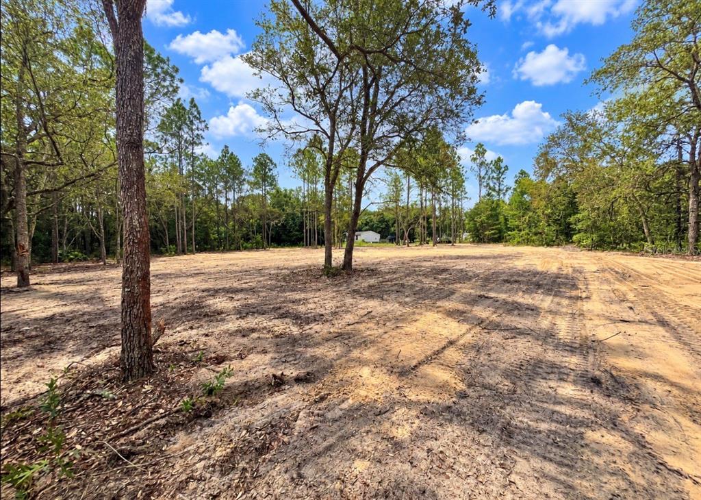 TBD NE 88TH LANE, BRONSON, FL — photo 3 of 4