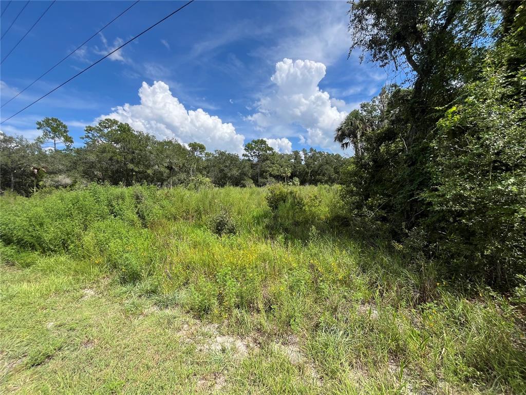 A grassy, overgrown vacant lot with trees under a bright blue sky with clouds — 12362 W RIVERWOOD DRIVE, CRYSTAL RIVER, FL