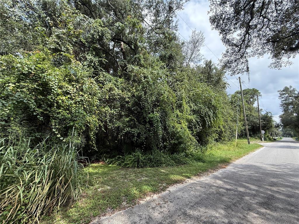 10TH STREET, ORANGE CITY, FL — photo 3 of 3