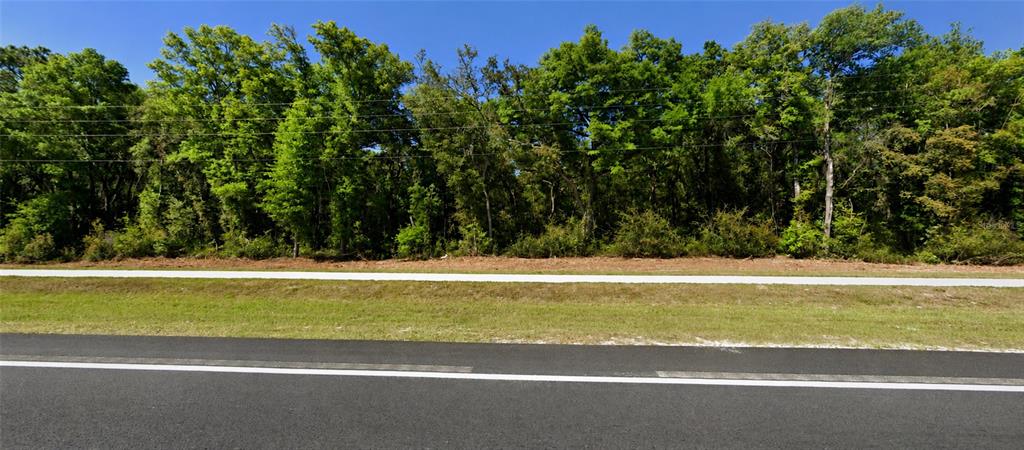 A paved road runs in front of a grassy strip bordering a dense wooded area — 34357 CORTEZ BOULEVARD, DADE CITY, FL