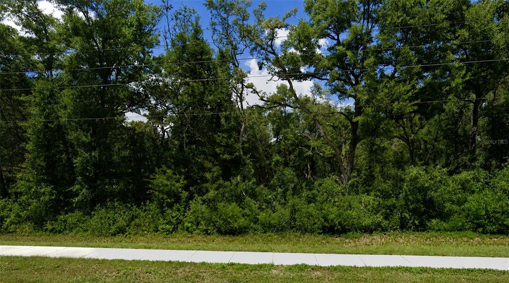 A sidewalk runs in front of a dense, wooded lot under a blue sky — 34357 CORTEZ BOULEVARD, DADE CITY, FL