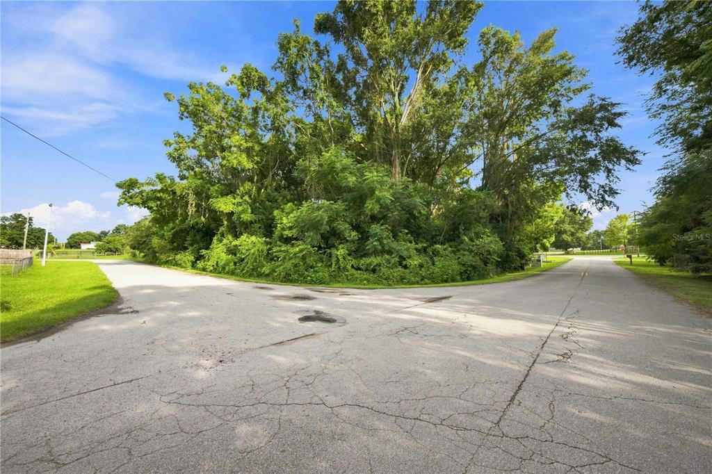 An asphalt road forks in front of a dense cluster of trees and vegetation — 5850 SE 144TH PLACE, SUMMERFIELD, FL