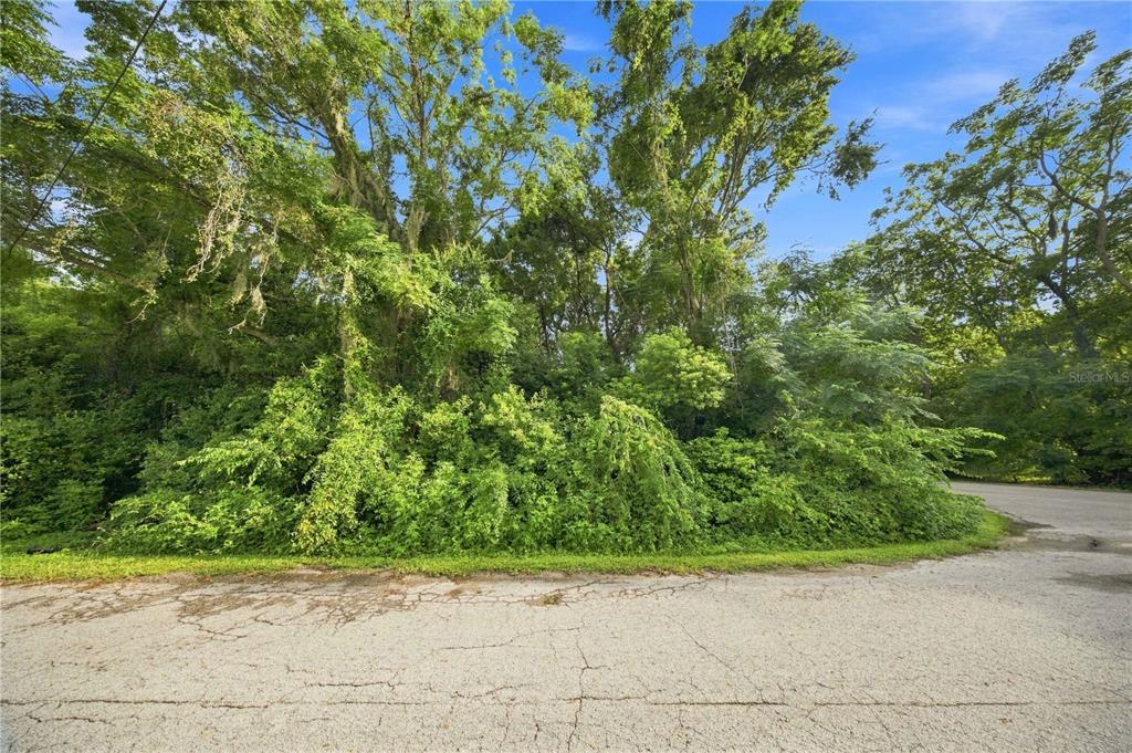 A paved road curves in front of a dense, wooded lot with mature trees — 5850 SE 144TH PLACE, SUMMERFIELD, FL