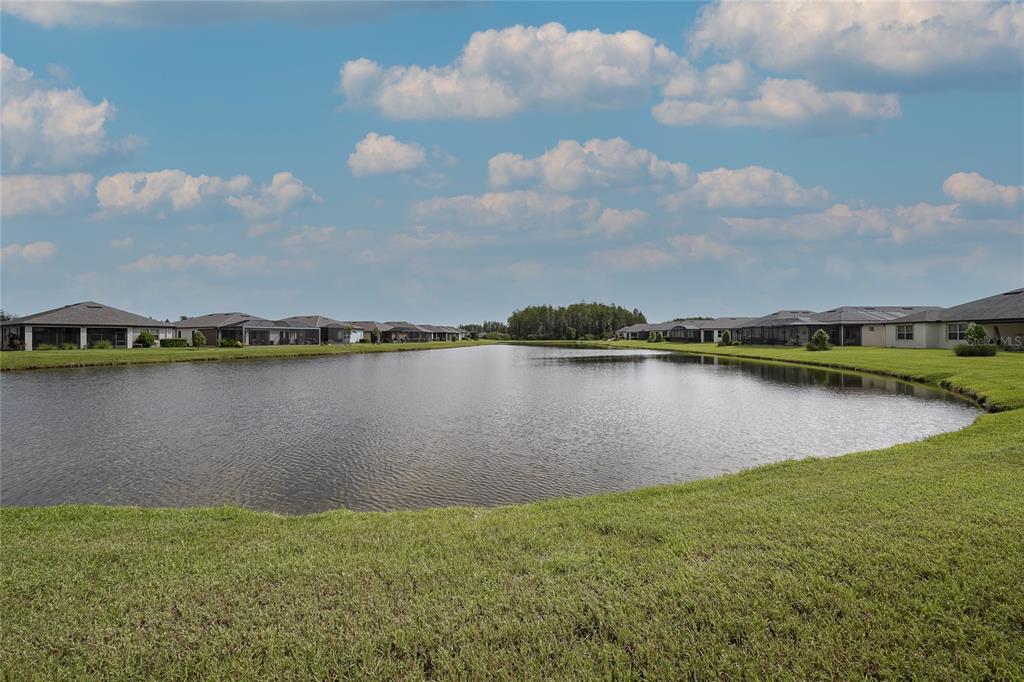 19800 SHIP WHEEL WAY, LAND O LAKES, FL — photo 2 of 30