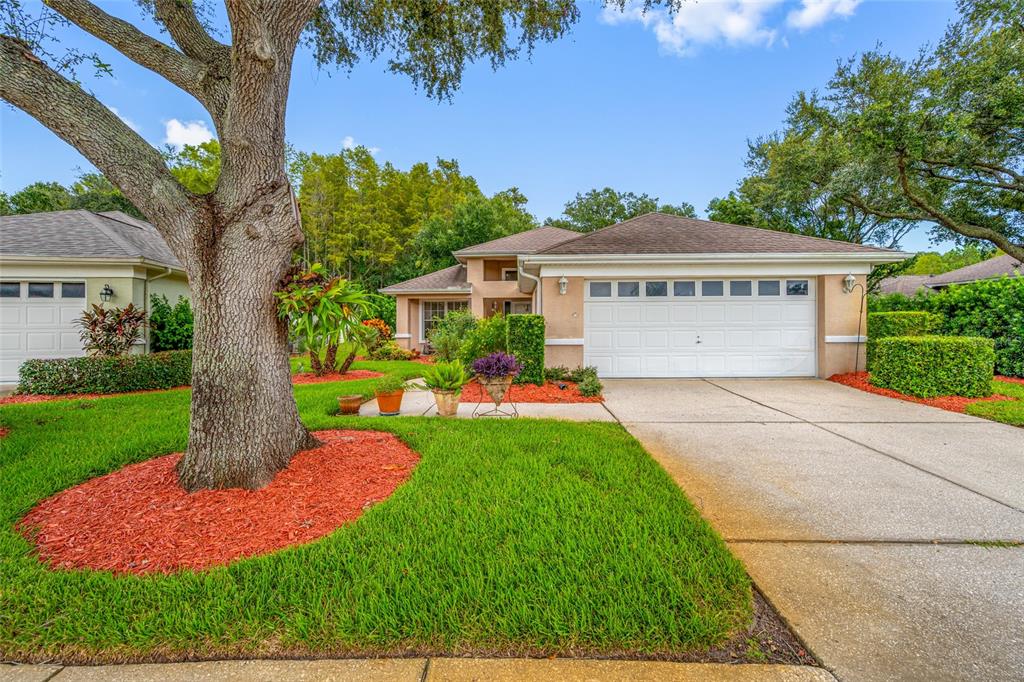 A single-story house with a white two-car garage, red mulch landscaping, and a large tree — 1044 DALESIDE LANE, NEW PORT RICHEY, FL