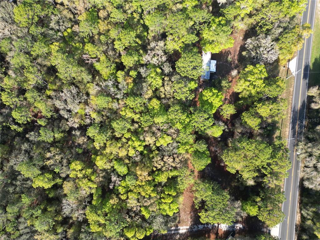 An aerial view shows a wooded lot with a small structure near a paved road — 0000 E HWY 25, BELLEVIEW, FL