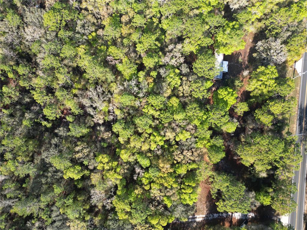 An aerial view shows a wooded lot with a small structure and a paved road — 0000 E HWY 25, BELLEVIEW, FL