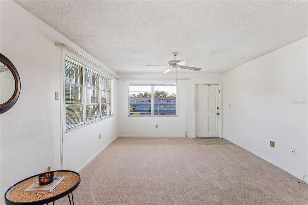 A carpeted living room features white walls, a ceiling fan, and two windows with blinds — 5530 N 80TH STREET UNIT C308, ST PETERSBURG, FL