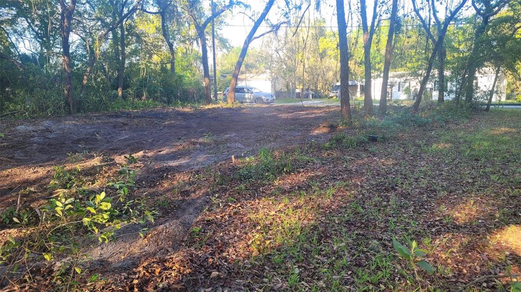 MARLEY AVENUE, NEW PORT RICHEY, FL — photo 2 of 4