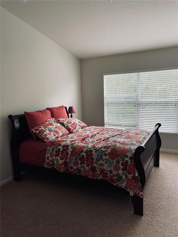 A bedroom features a dark wood sleigh bed with floral bedding and beige carpeted flooring — 10453 WESTPARK PRESERVE BOULEVARD, TAMPA, FL