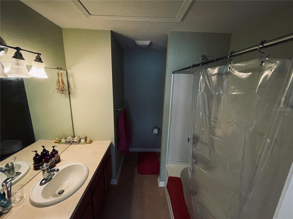 A bathroom features a vanity with a sink, a mirror, and a shower-tub combination — 10453 WESTPARK PRESERVE BOULEVARD, TAMPA, FL