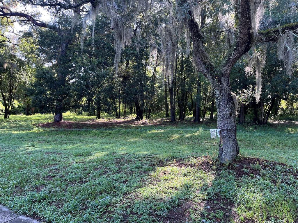 A grassy lot features several large, moss-draped oak trees and a thin wire fence — MARKER STREET, ALTAMONTE SPRINGS, FL