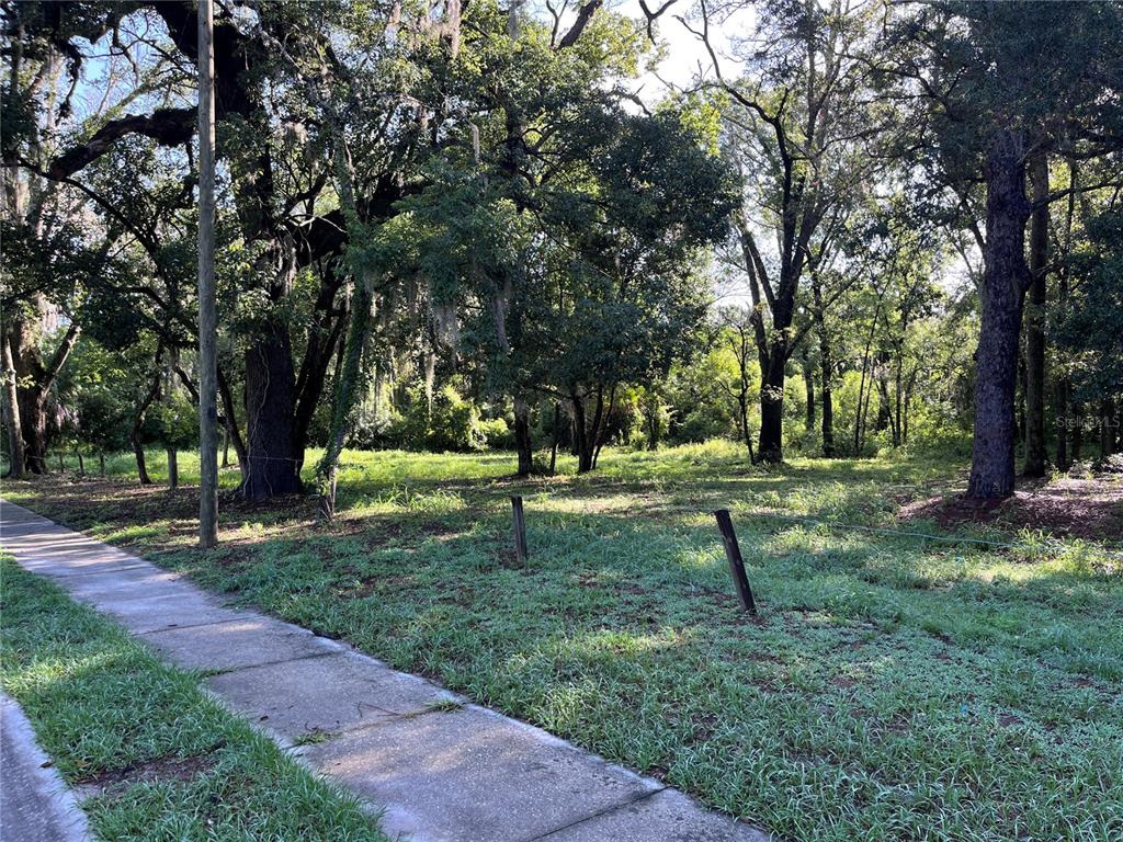 A grassy, wooded vacant lot borders a concrete sidewalk with wooden fence posts — MARKER STREET, ALTAMONTE SPRINGS, FL