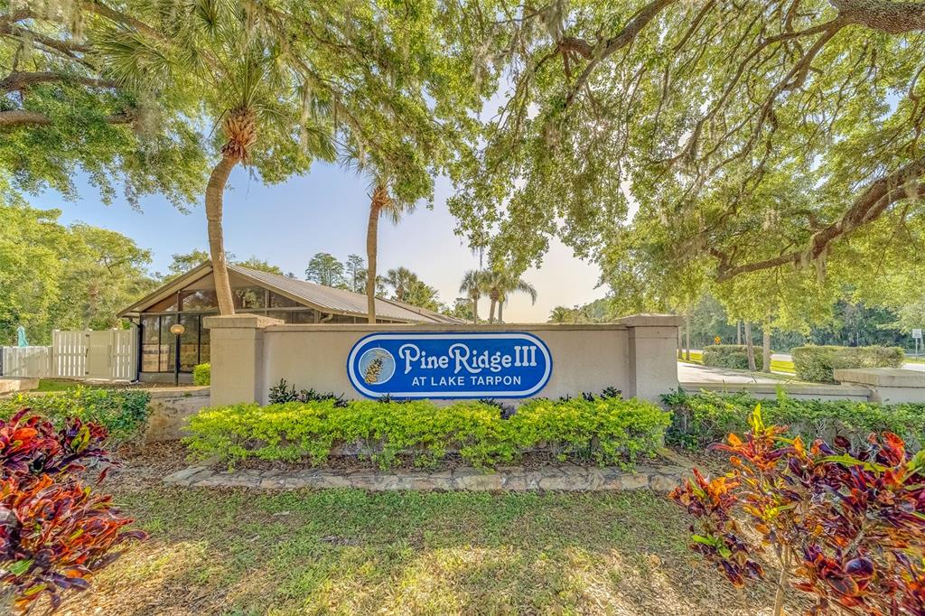 3135 CHARTER CLUB DRIVE UNIT G, TARPON SPRINGS, FL — photo 3 of 30
