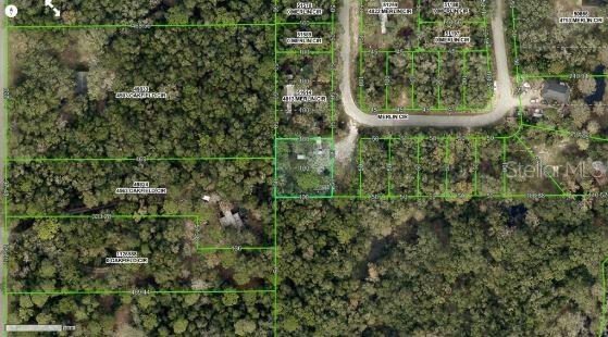 This is an aerial map showing property lot lines overlaid on a wooded residential area — 4809 MERLIN CIRCLE, RIDGE MANOR, FL