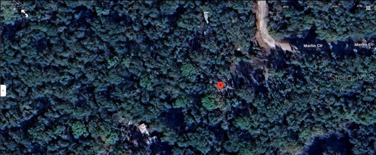 This is a satellite map view showing a red location pin in a wooded area — 4809 MERLIN CIRCLE, RIDGE MANOR, FL