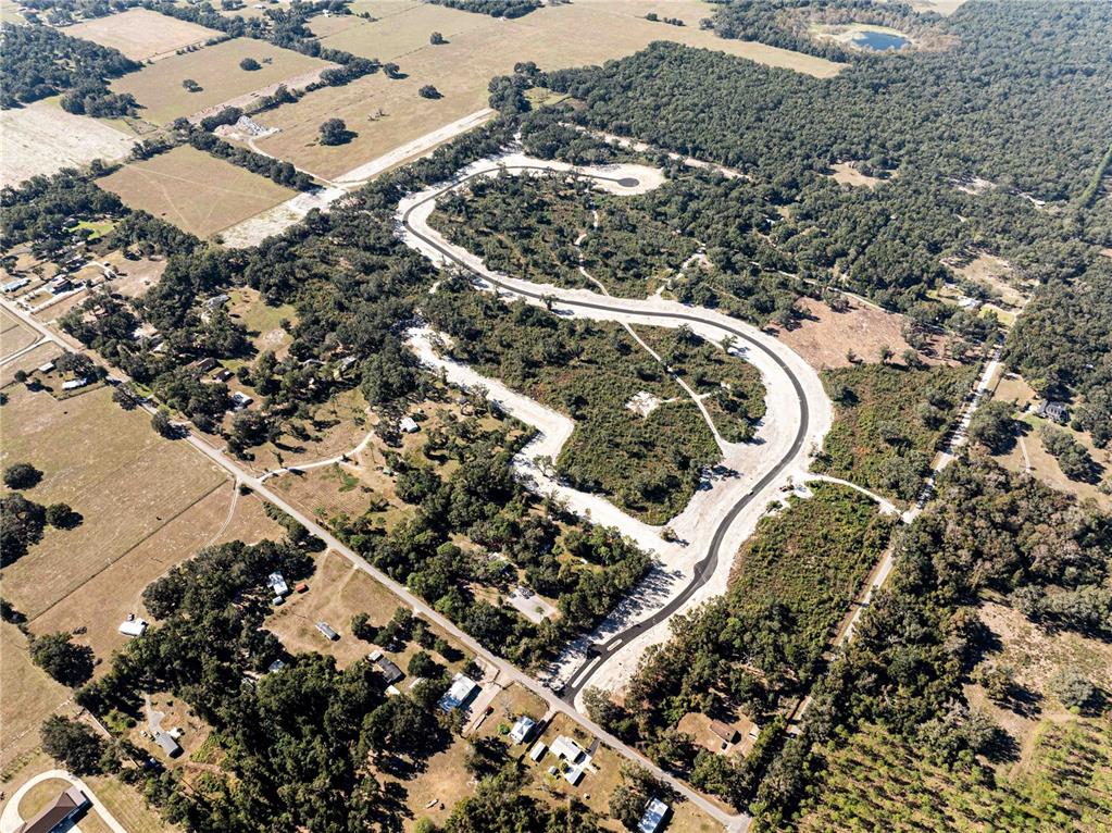 An aerial view shows a newly paved road winding through a wooded residential development — 1480 OXFORD PRESERVE TRL, OXFORD, FL