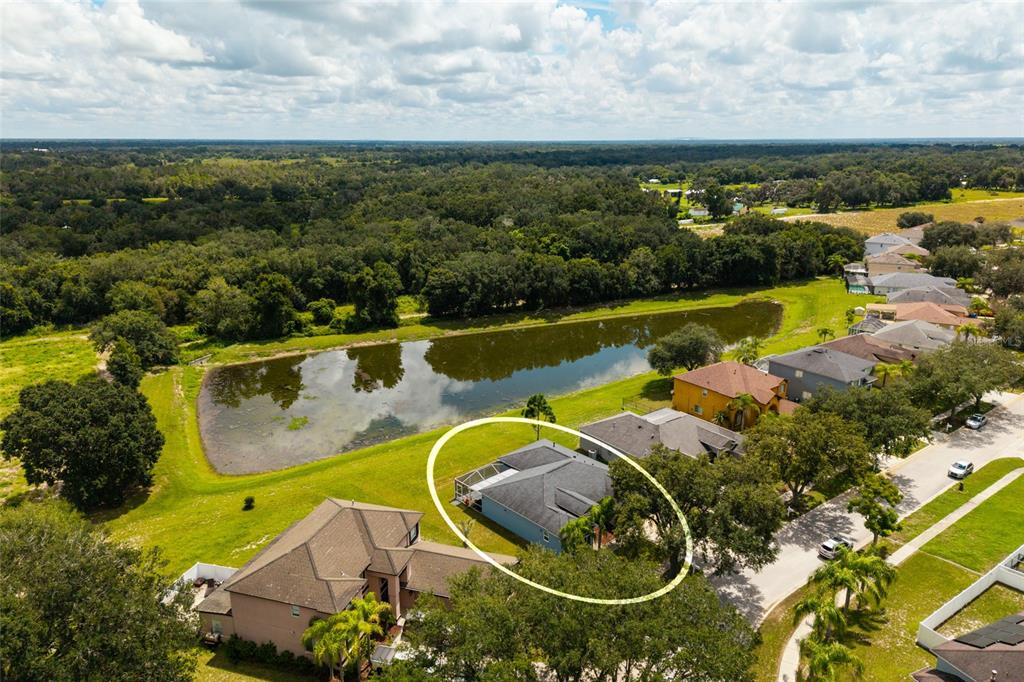 An aerial view shows a single-story house with a screened-in pool enclosure near a pond — 3513 PINE TOP DRIVE, VALRICO, FL