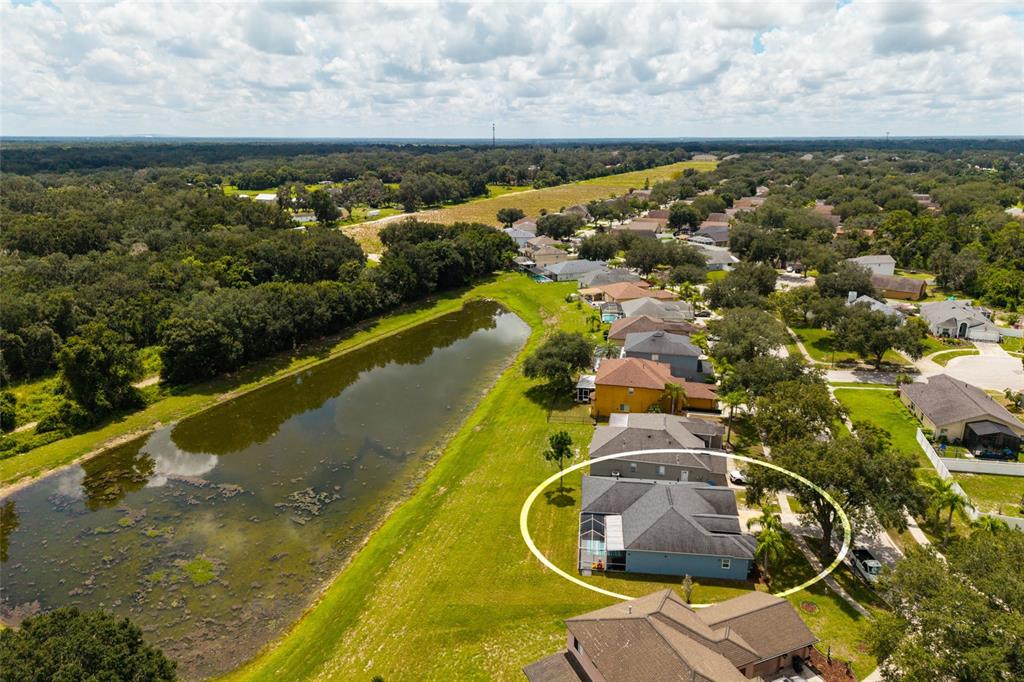 An aerial view shows a residential house with a screened patio next to a pond — 3513 PINE TOP DRIVE, VALRICO, FL