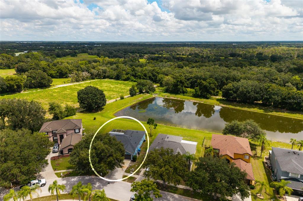 An aerial view shows a residential house with a dark roof beside a large pond — 3513 PINE TOP DRIVE, VALRICO, FL