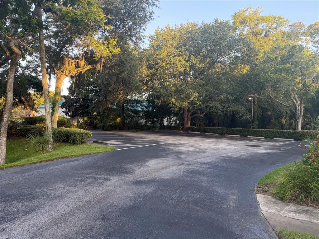 An asphalt parking lot is surrounded by mature trees and manicured hedges — 545 W GRANADA BOULEVARD, ORMOND BEACH, FL