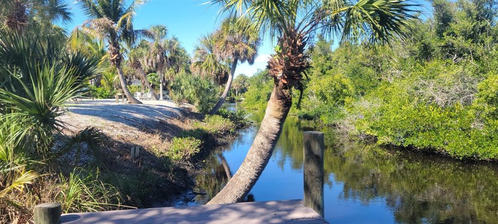 A wooden dock overlooks a narrow canal lined with palm trees and dense green vegetation — 120 BARRACUDA DRIVE, PLACIDA, FL
