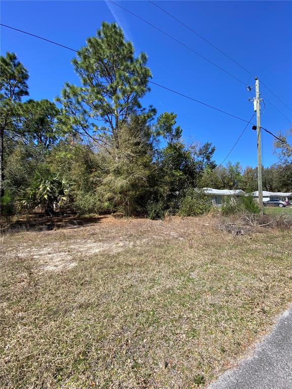 A vacant, grassy lot features scattered trees and a utility pole under a clear blue sky — 8630 N CATAPANE LOOP, CRYSTAL RIVER, FL