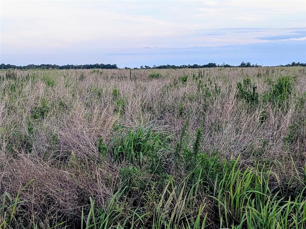 A wide, flat field of dry, brown grasses and scattered green vegetation under a cloudy sky — TOM BRYAN RD, ZOLFO SPRINGS, FL