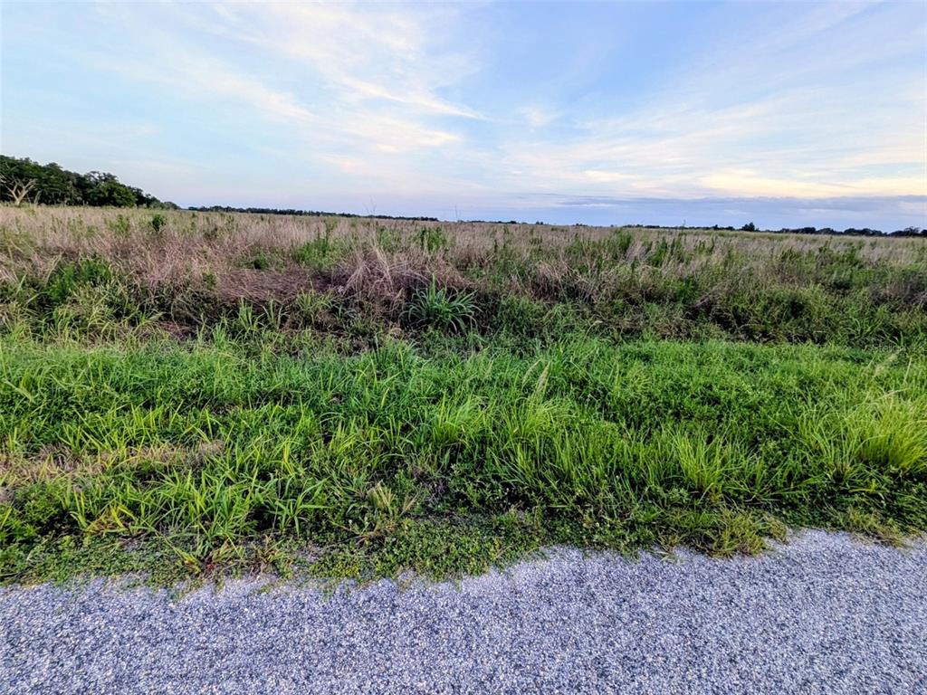 A view of a flat, grassy, and undeveloped field under a blue sky — TOM BRYAN RD, ZOLFO SPRINGS, FL