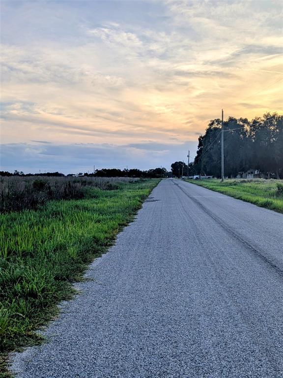 A paved road stretches into the distance past a grassy field under a cloudy sky — TOM BRYAN RD, ZOLFO SPRINGS, FL