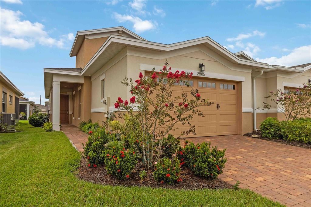 2585 YELLOW BRICK ROAD