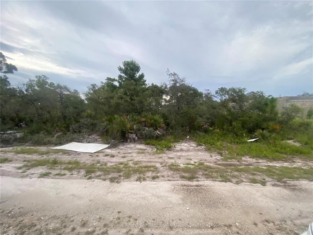 An undeveloped, sandy lot with dense vegetation and trees under a cloudy sky — 321 BRANT AVENUE, SEBRING, FL