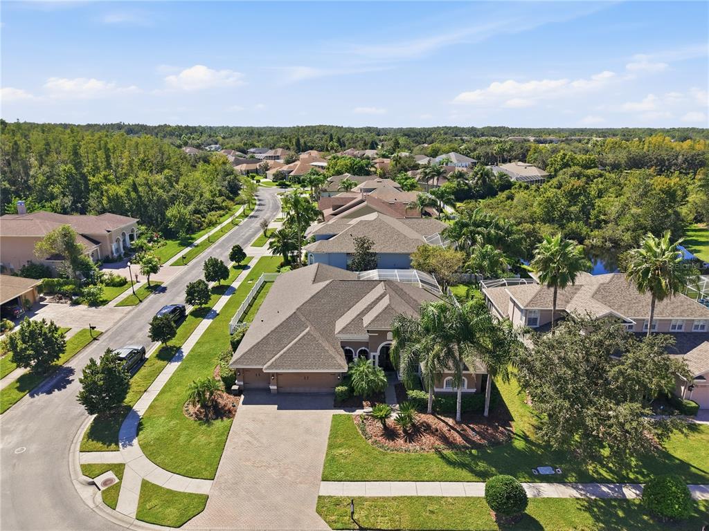 3905 SORREL VINE DRIVE