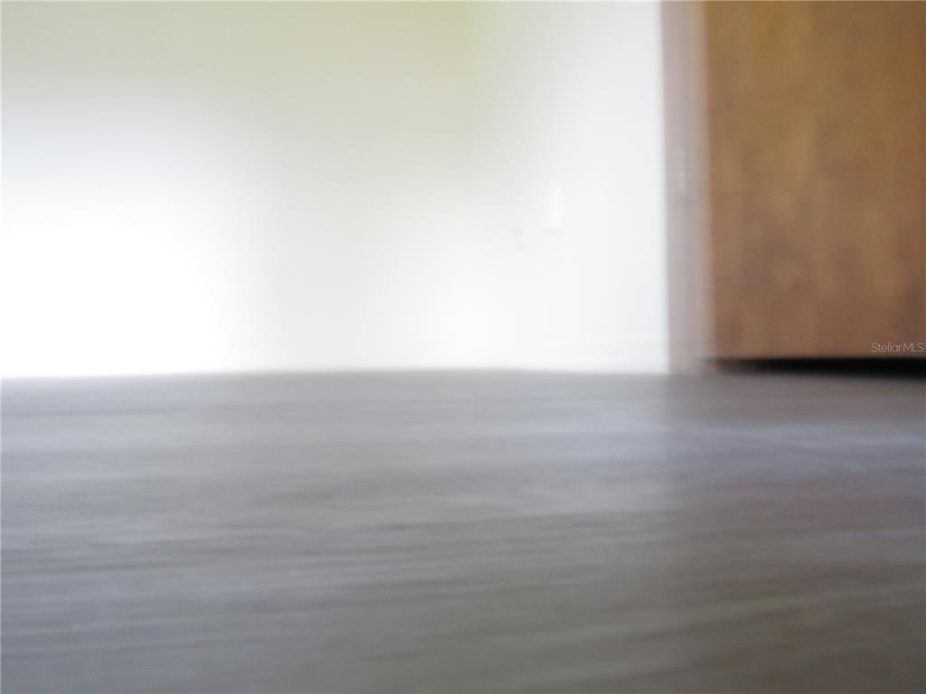 A low-angle view shows a room with dark wood-look flooring and a closed wooden door — 993 FOOTE STREET, EUSTIS, FL