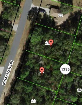 This is a map showing two adjacent wooded lots along a road — 10631 N HAITIAN DRIVE, CITRUS SPRINGS, FL