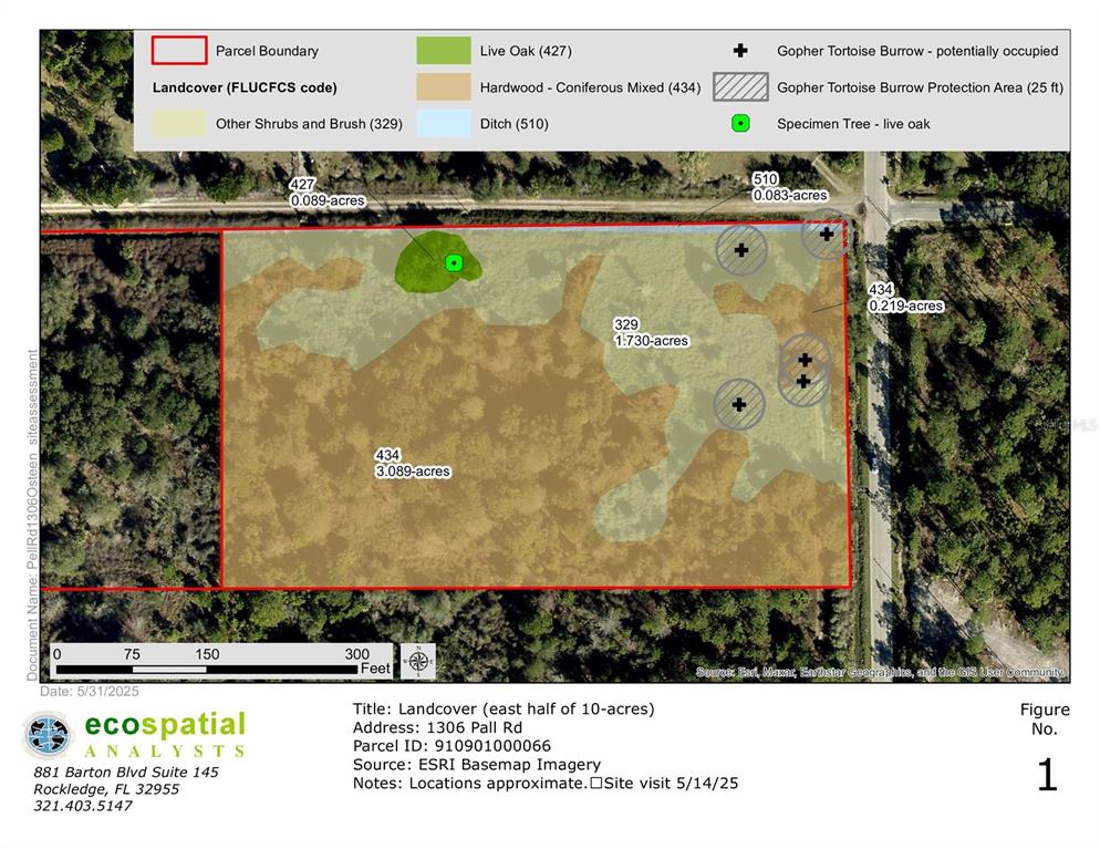 This is a landcover map of a parcel showing vegetation types and gopher tortoise burrows — 1306 PELL ROAD, OSTEEN, FL