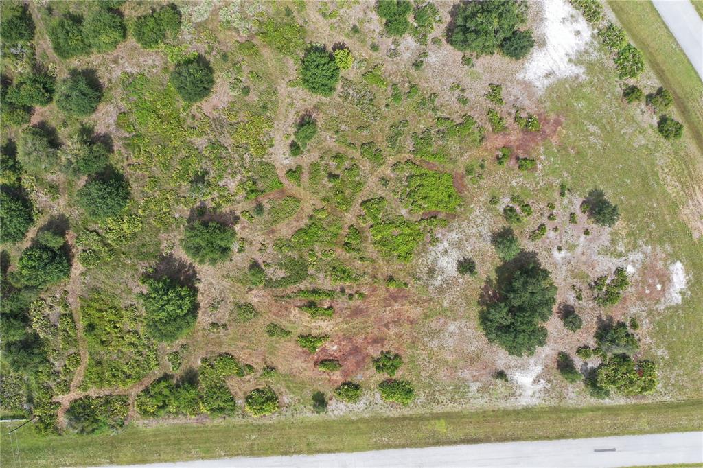 An aerial view shows a vacant, grassy lot with scattered trees and shrubs near a road — 40710 11TH AVENUE E, MYAKKA CITY, FL