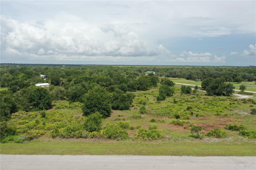 An aerial view shows a vacant, partially wooded lot bordering a paved road — 40710 11TH AVENUE E, MYAKKA CITY, FL