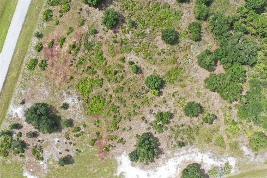 An aerial view shows a vacant, partially wooded lot adjacent to a paved road — 40710 11TH AVENUE E, MYAKKA CITY, FL