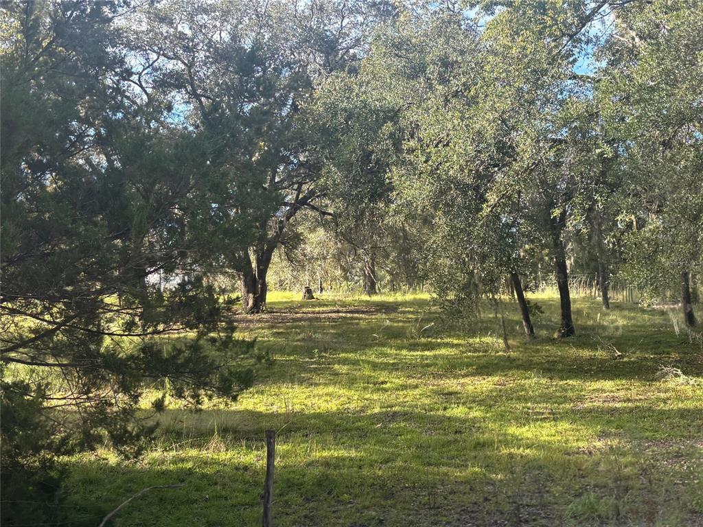 21030 SE 66TH STREET, MORRISTON, FL — photo 2 of 14