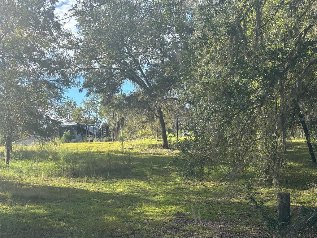 21030 SE 66TH STREET, MORRISTON, FL — photo 3 of 14