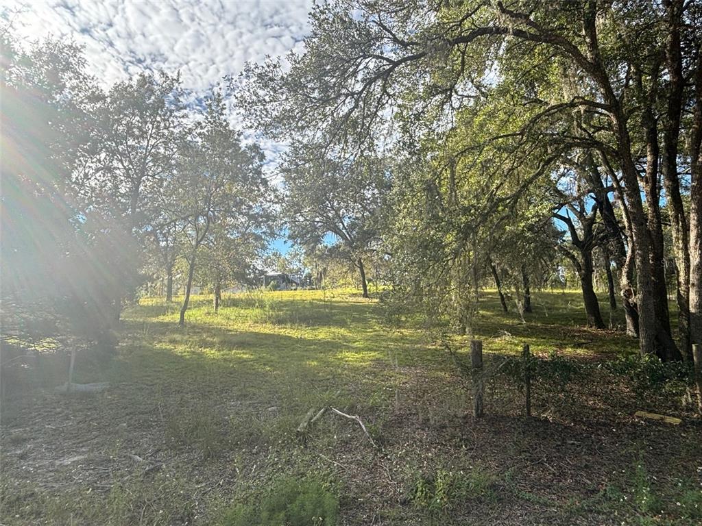 21030 SE 66TH STREET, MORRISTON, FL — photo 4 of 14