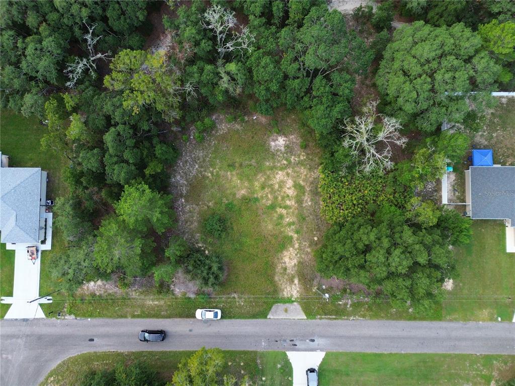 106 GUAVA PASS, OCKLAWAHA, FL — photo 2 of 4