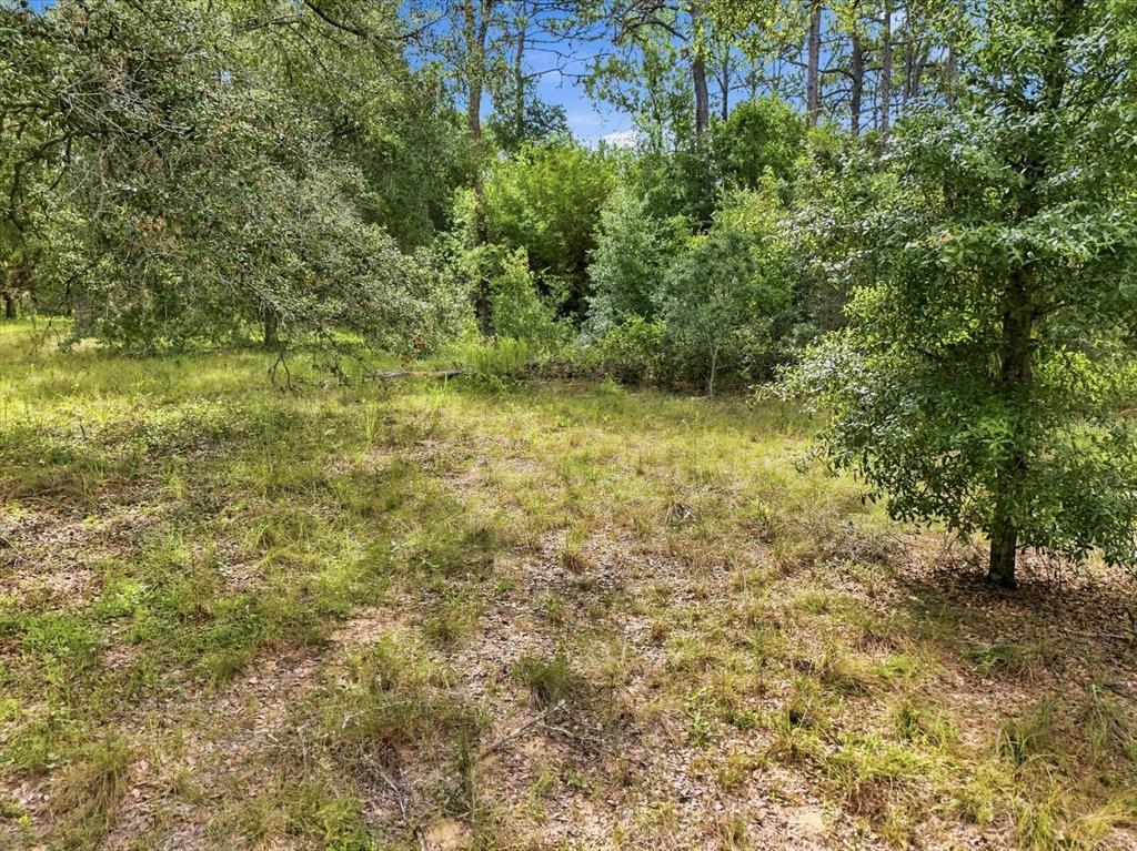 89 S HAID TERRACE, LECANTO, FL — photo 3 of 27