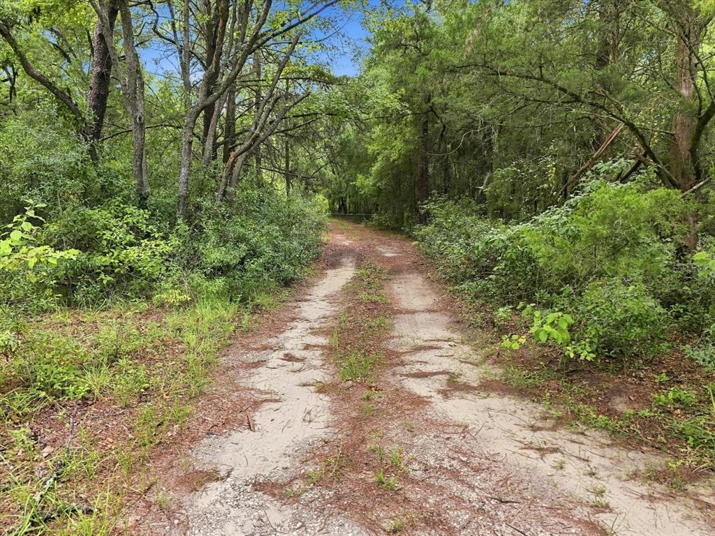 89 S HAID TERRACE, LECANTO, FL — photo 4 of 27