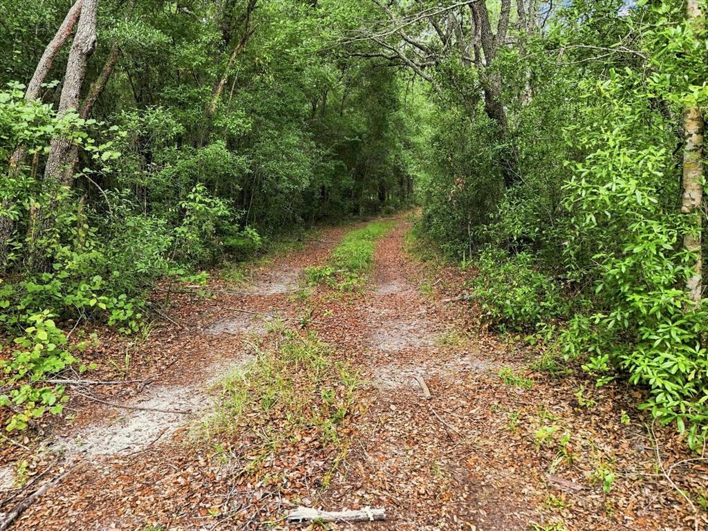 89 S HAID TERRACE, LECANTO, FL — photo 5 of 27