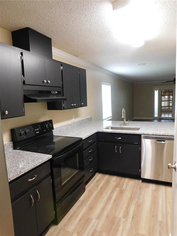 A kitchen features black cabinets, speckled granite countertops, stainless steel appliances, and light wood flooring — 1628 BAKER ROAD, LUTZ, FL