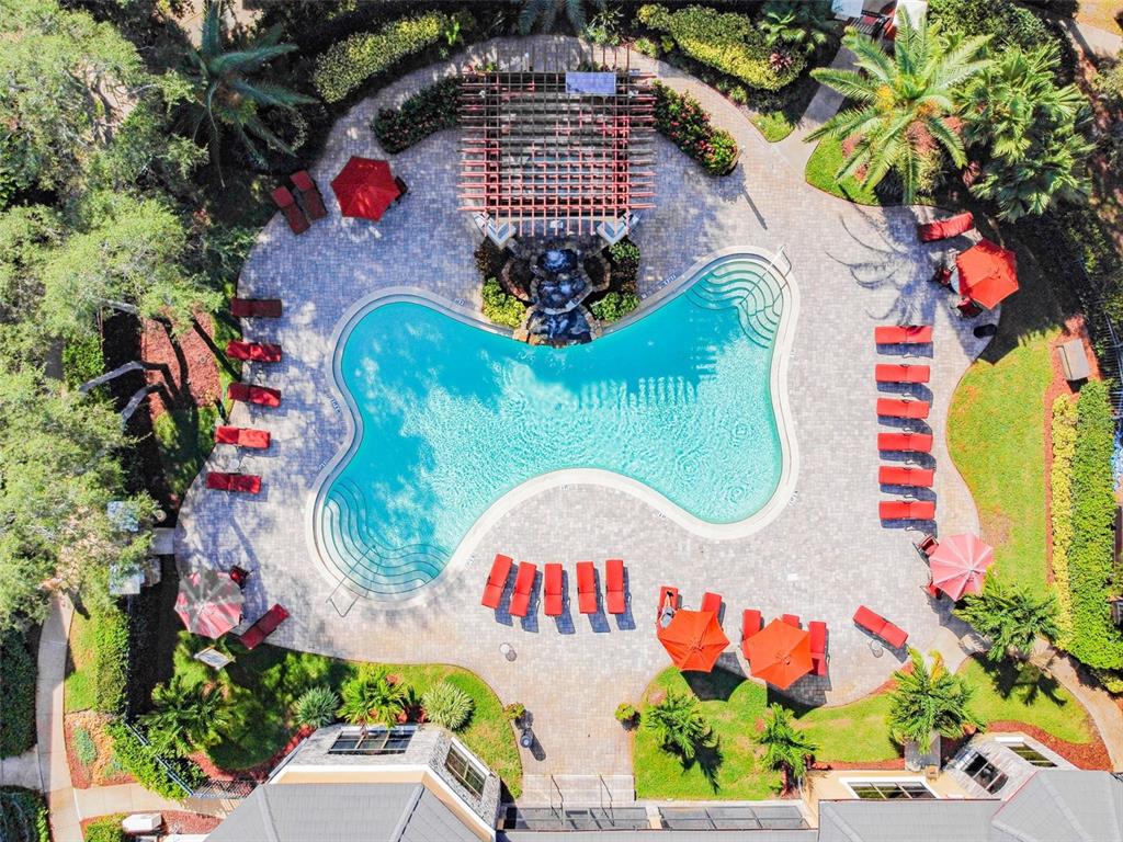 An aerial view shows a bone-shaped swimming pool with a pergola, fountain, and red loungers — 2151 CHIANTI PLACE UNIT 12-122, PALM HARBOR, FL